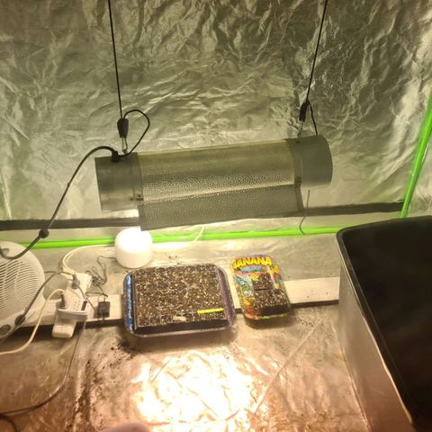 3 Power Plant growlog photo