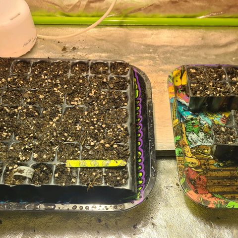 3 Power Plant growlog photo