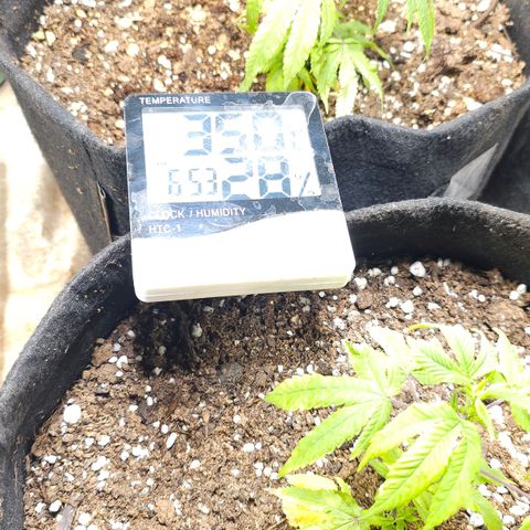 Aromito Six pack growlog timeline photo