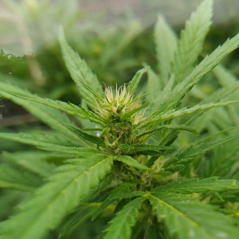 Vicky growlog photo: 🥰