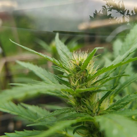 Vicky growlog photo: 🥰