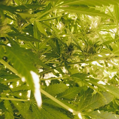 Vicky growlog timeline photo