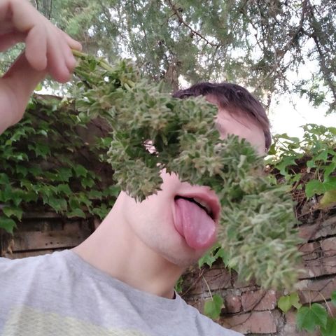 Vicky growlog timeline photo