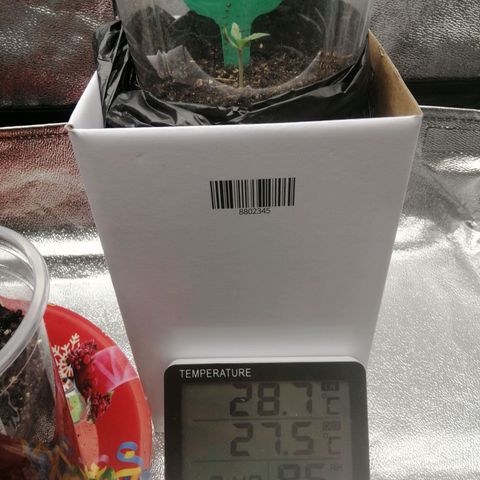 Colt.45​ growlog timeline photo
