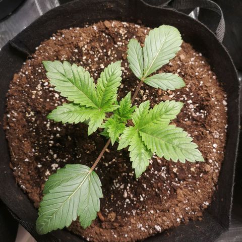 O. K. C growlog timeline photo