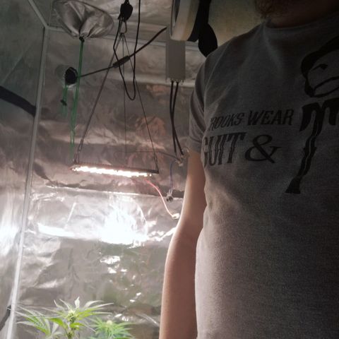 Banana hammock auto  growlog timeline photo