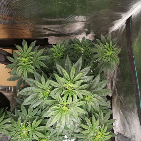 O. K. C growlog timeline photo