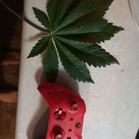 O. K. C growlog timeline photo