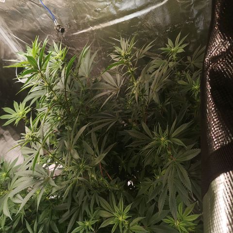 O. K. C growlog timeline photo