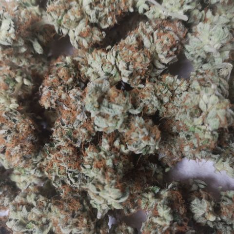 Grandaddy black growlog timeline photo