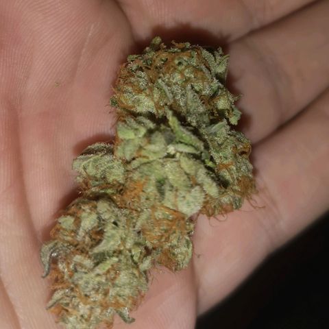 Grandaddy black growlog timeline photo