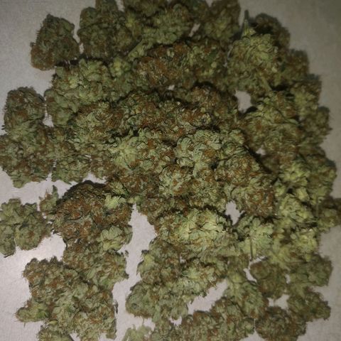 Grandaddy black growlog timeline photo