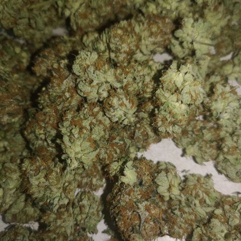 Grandaddy black growlog timeline photo