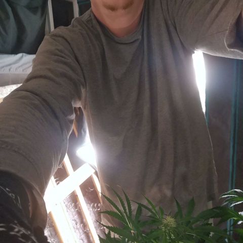 Banana Hammock auto growlog timeline photo