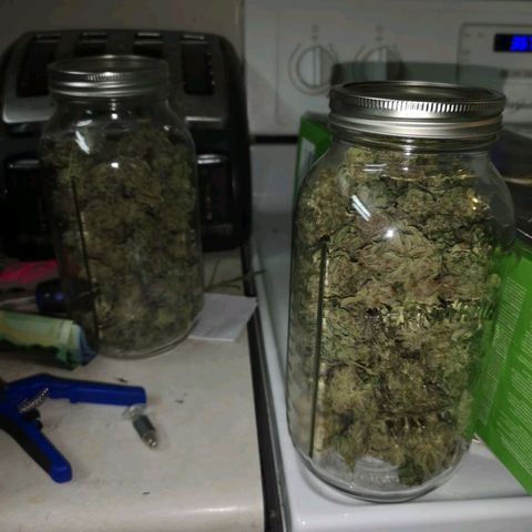 Blueberry cookies growlog timeline photo