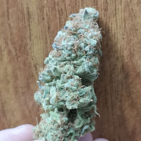 Cherry gar see ya growlog timeline photo