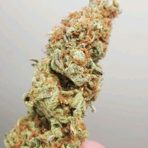 Cherry gar see ya growlog timeline photo