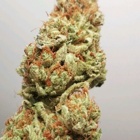 Cotton candy cookies growlog timeline photo