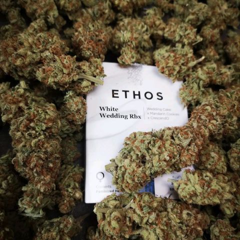 white wedding growlog timeline photo