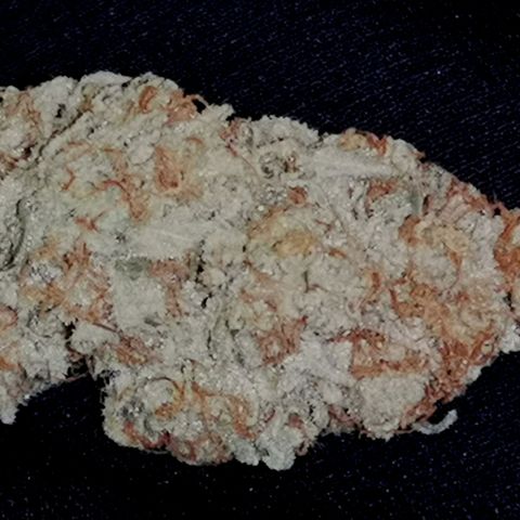 white wedding growlog timeline photo