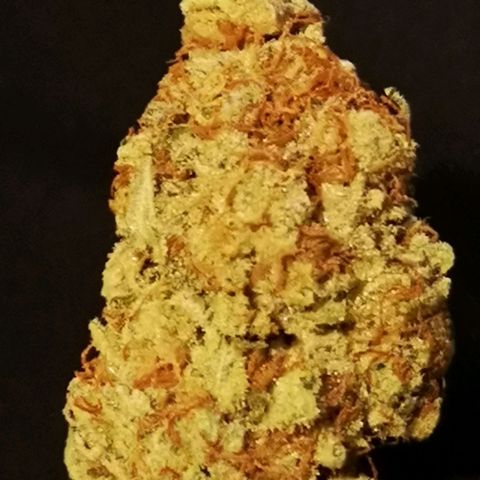 white wedding growlog timeline photo