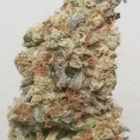 10th planet 2nd run growlog timeline photo