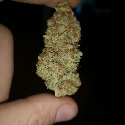 white wedding growlog timeline photo
