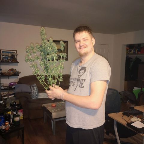 Cdlc 1/2 & 1/2 growlog timeline photo
