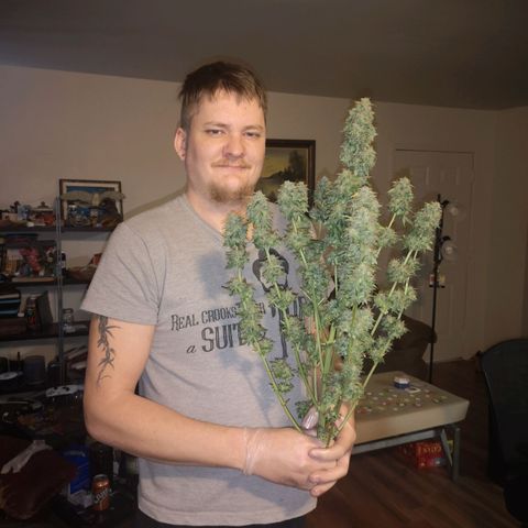Cdlc 1/2 & 1/2 growlog timeline photo