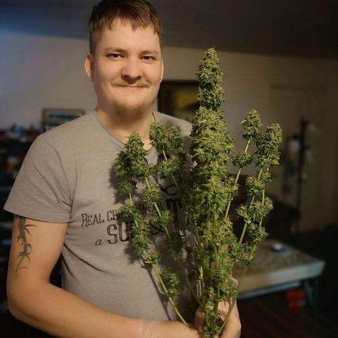 Cdlc 1/2 & 1/2 growlog timeline photo