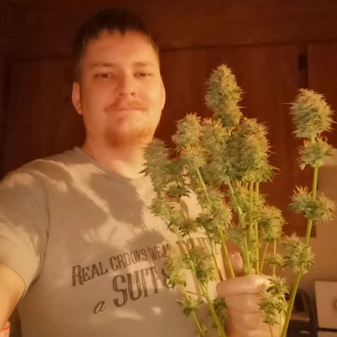 Cdlc myco growlog timeline photo