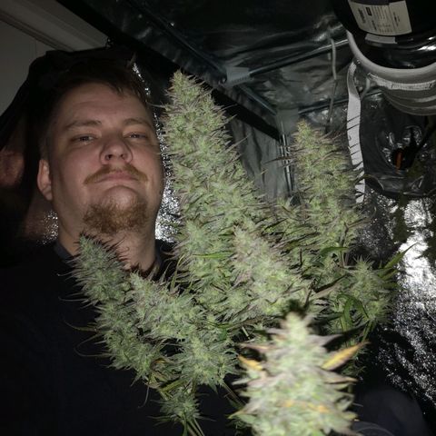 Mango smile growlog timeline photo
