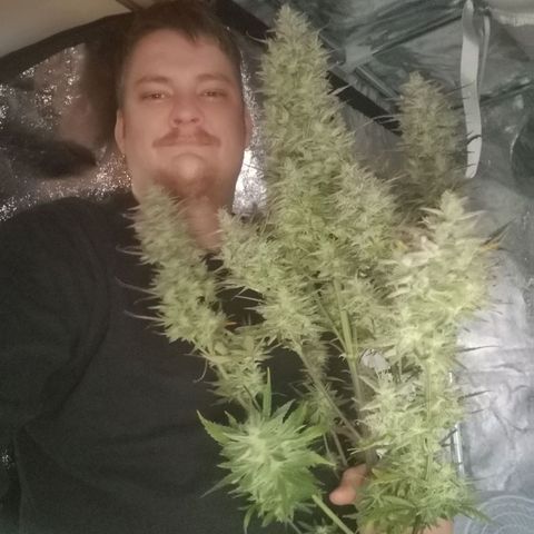 Mango smile growlog timeline photo