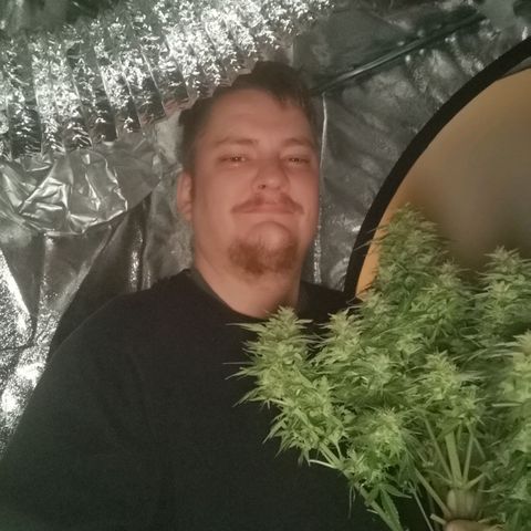 strawberry stomper growlog timeline photo