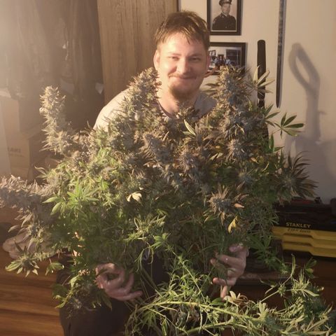 Grape Diamonds 2 growlog timeline photo