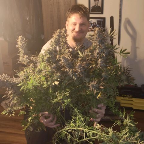 Grape Diamonds 2 growlog timeline photo