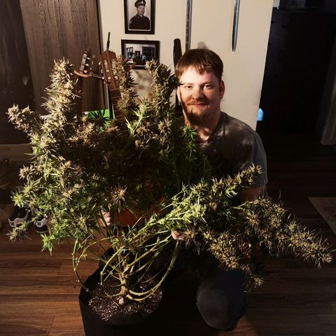 Grape Diamonds 2 growlog timeline photo