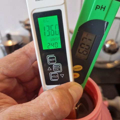 3G growlog timeline photo