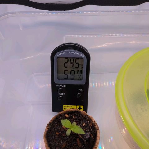 The Bird growlog photo: 08.40 Uhr