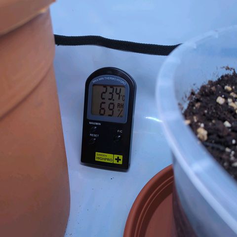 The Bird growlog timeline photo