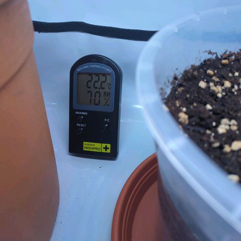 The Bird growlog timeline photo