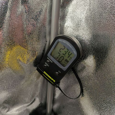 Strawberry Kush growlog timeline photo