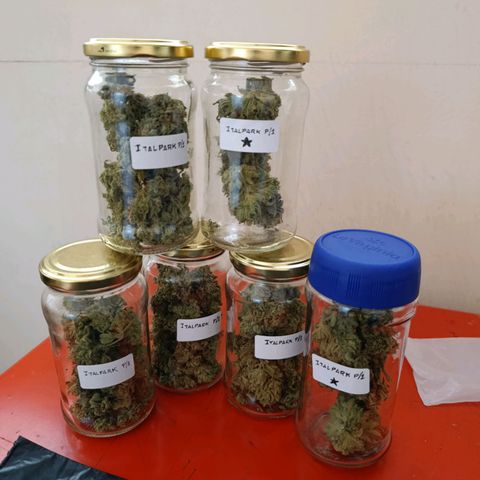 Italpark 1 growlog timeline photo