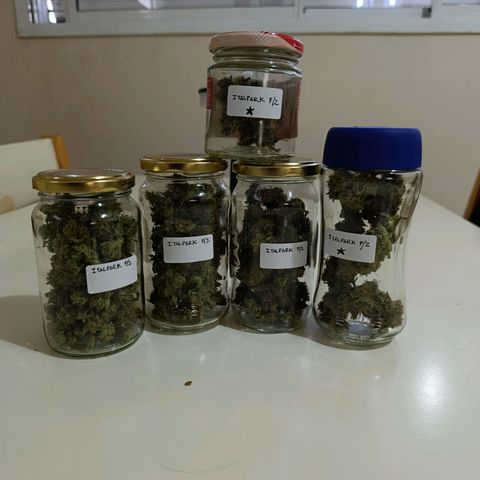 ItalPark 2 growlog timeline photo
