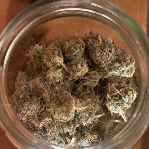 Goat’lato 1 growlog timeline photo