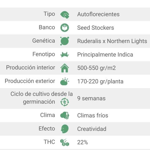 Northern lights 11 semanas growlog timeline photo