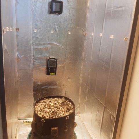 Linda Ariane Kush growlog timeline photo