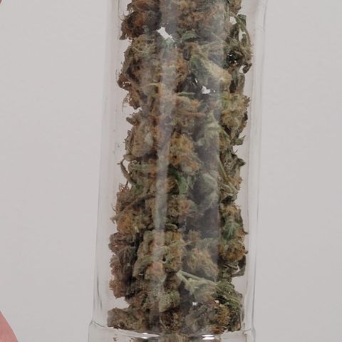 Linda Ariane Kush growlog timeline photo