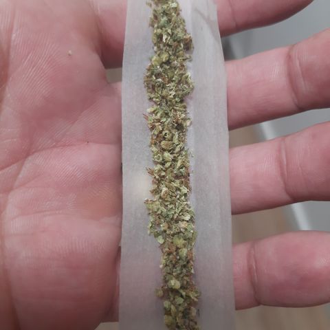 Linda Ariane Kush growlog timeline photo