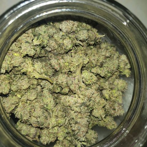 Bling A  growlog timeline photo